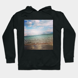 Sea What I See Hoodie